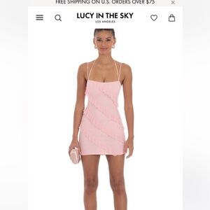 Lucy in the sky mesh ruffle dress